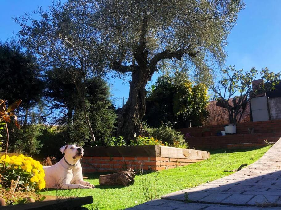 Villa Preciosa Con Hermosas Vistas. Hormigos المظهر الخارجي الصورة